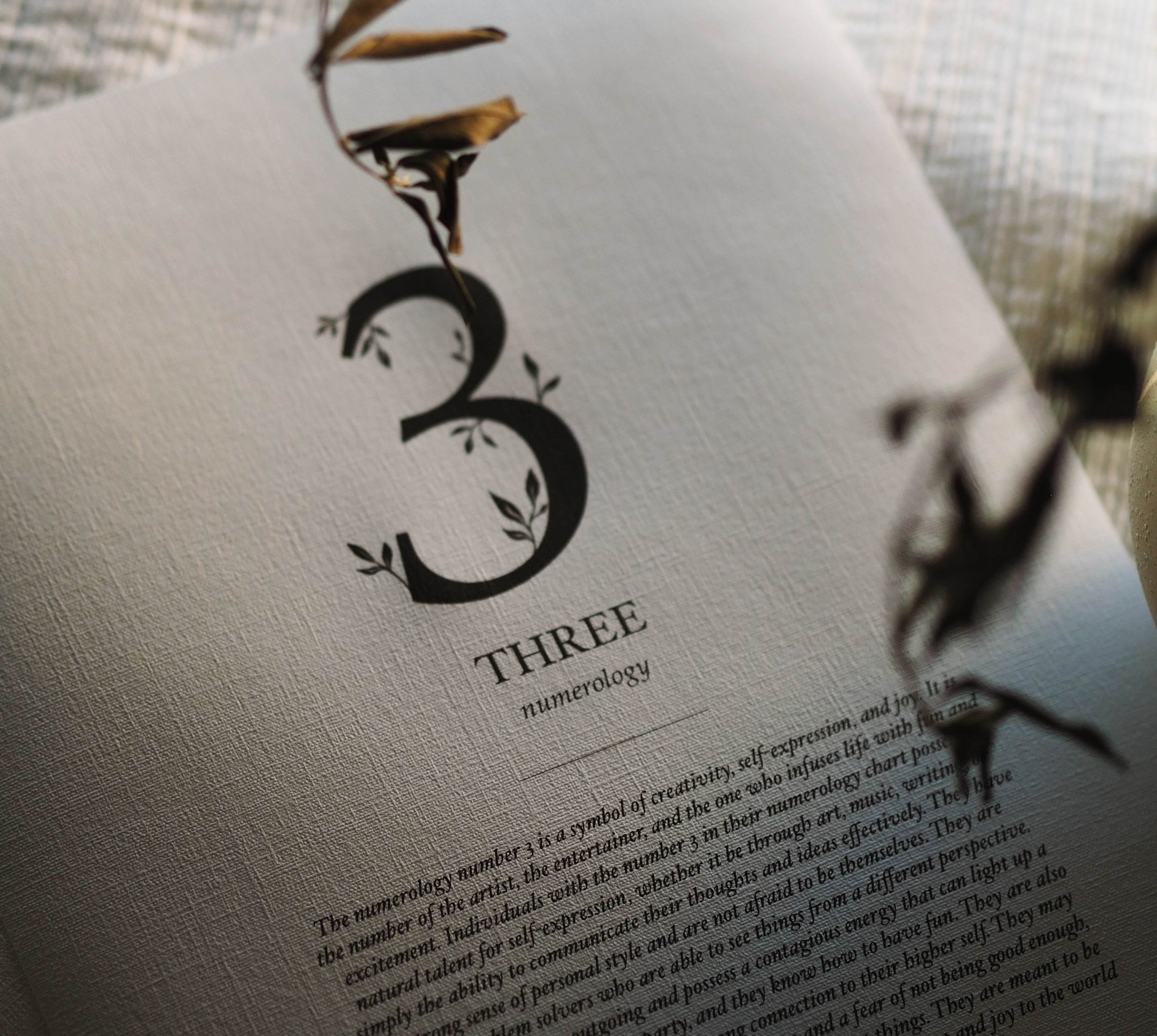 Numerology – Pure Téchne