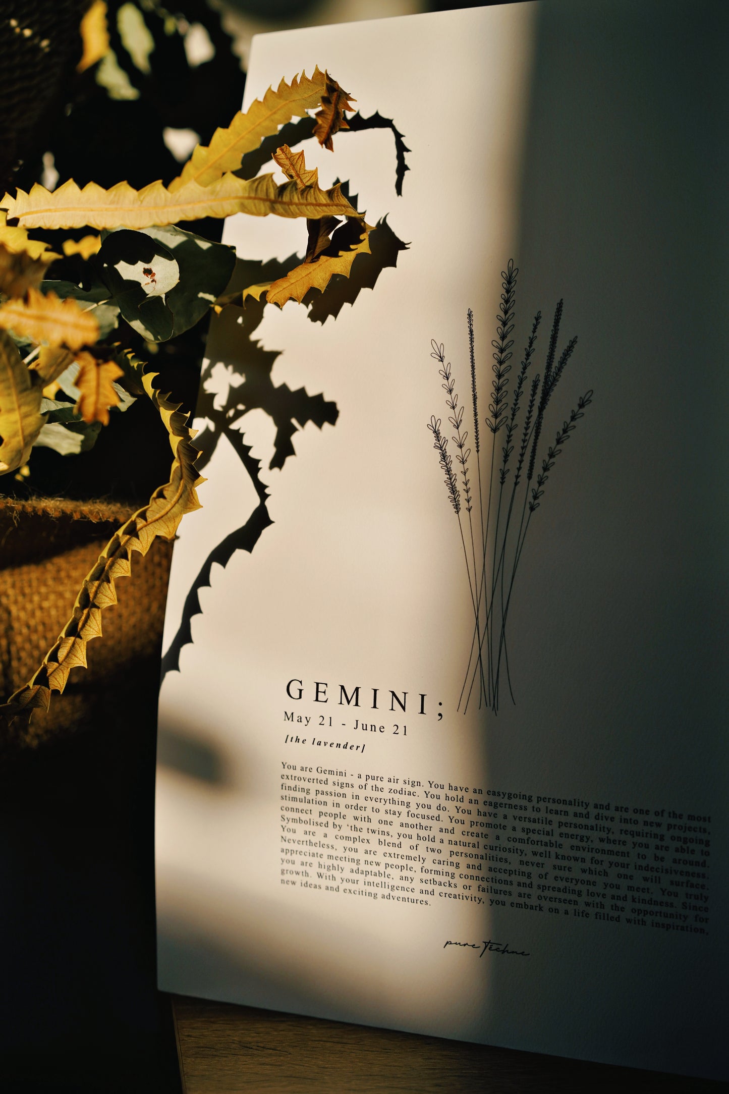 Gemini - 'Blooms' Zodiac Print